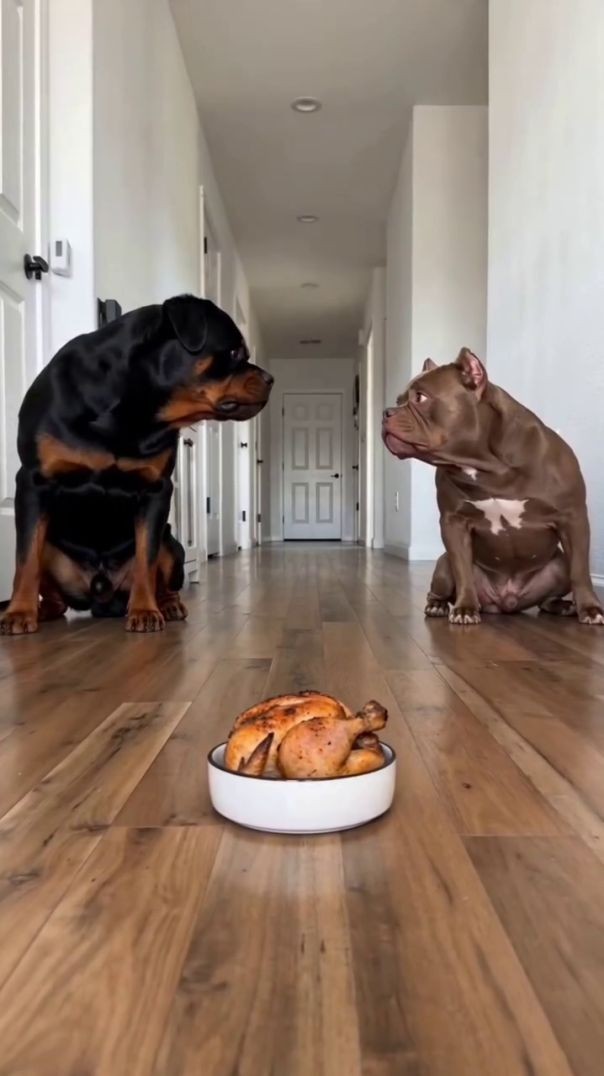 The Ultimate Chicken Heist_These two giants thought they were in control_ but a tiny surprise was wa
