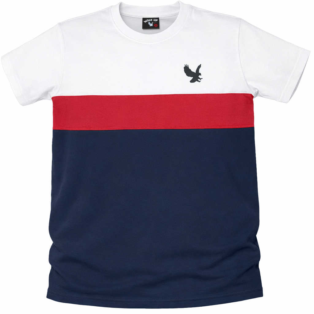 BLOCK COLORED TSHIRTS.