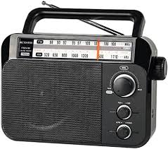 PORTABLE RADIO CLASSIC COMPANION